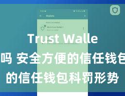 Trust Wallet国内能用吗 安全方便的信任钱包科罚形势