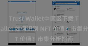 Trust Wallet中国区下载 Trust Wallet 如何识别 NFT 价值？市集分析指南