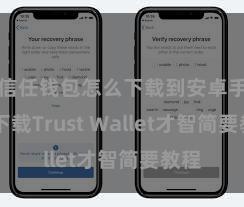 信任钱包怎么下载到安卓手机 下载Trust Wallet才智简要教程