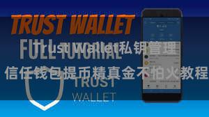 Trust Wallet私钥管理 信任钱包提币精真金不怕火教程